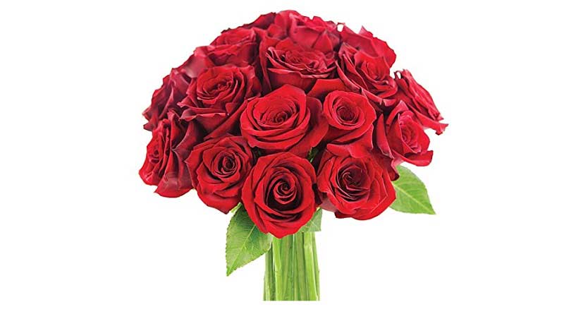 اهنگ شاد برای روز مادر و روز زن سال 99 از رضا بهرام + کلیپ
