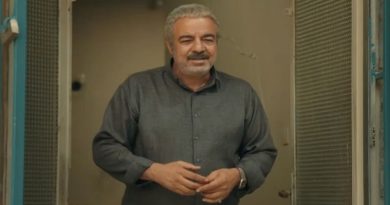 سریال اسباب زحمت